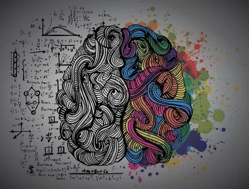 Brain drawn as half technical sketch and half colour swirls