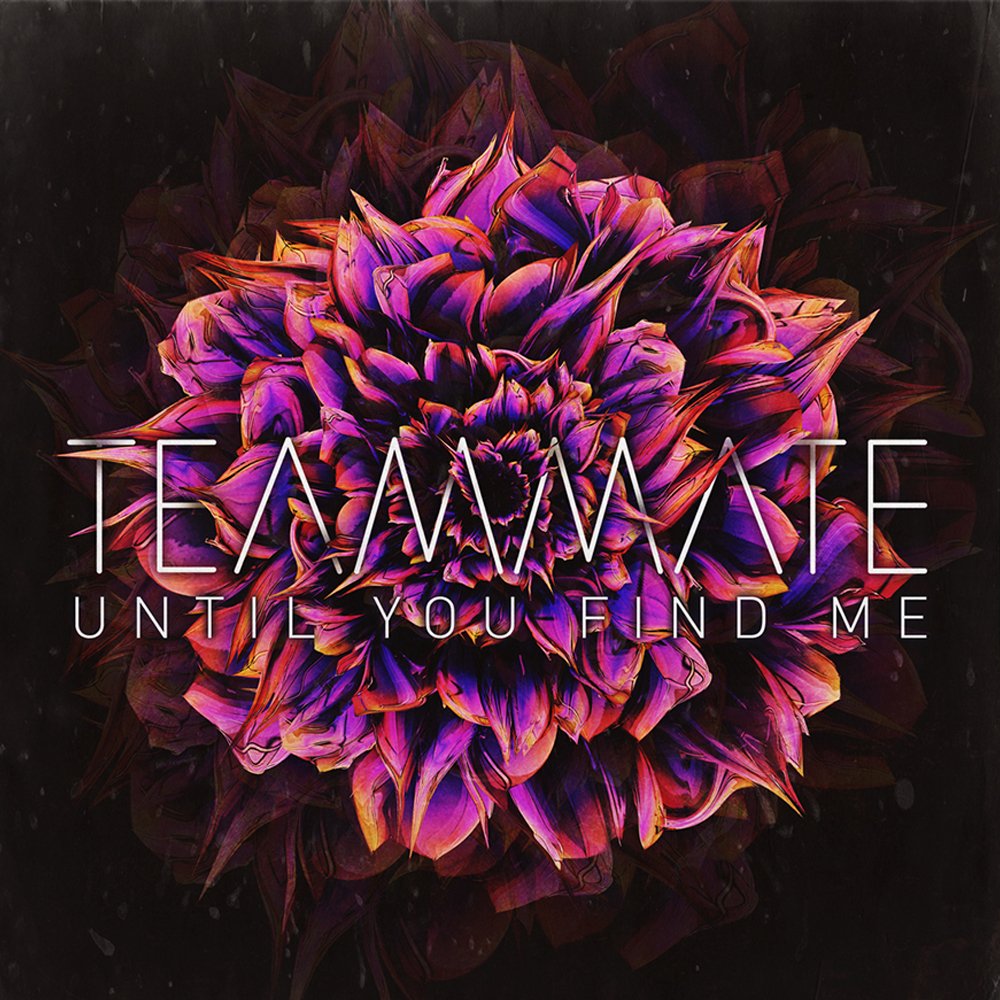 teammate-until-you-find-me